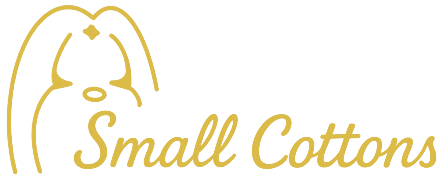 Small Cottons – Criador de Bichón Maltes Toy